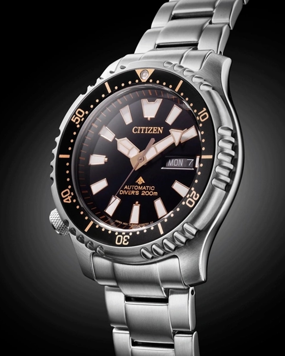 Citizen Promaster NY0160-66E